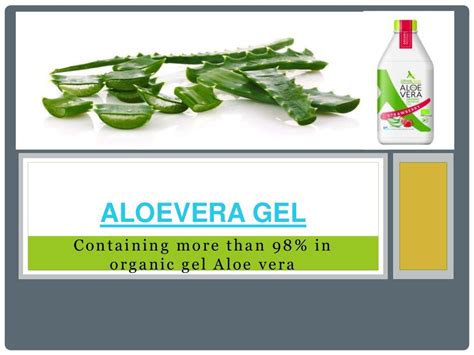 Most People Know That Aloe Vera Can Be Used Topically To Treat Burns In Fact It Is Amazing At