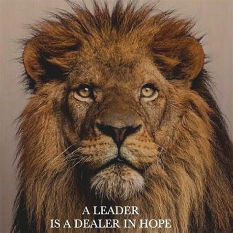 Leader Lion Quotes Leader Quotes Lion Images