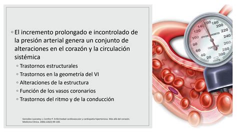 Solution Miocardiopatia Hipertensiva Studypool