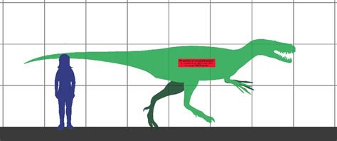 Dryptosaurus Pictures & Facts - The Dinosaur Database