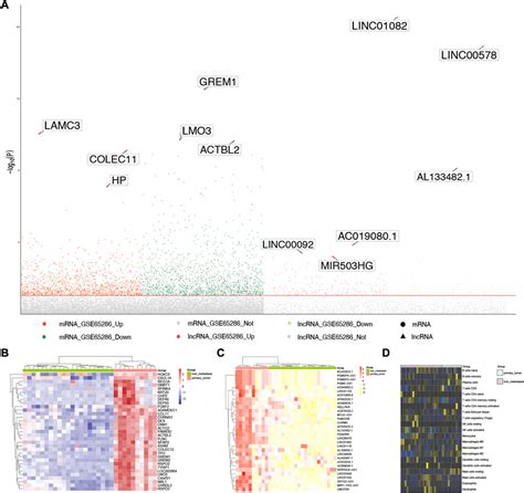 Frontiers Potential Effective Diagnostic Biomarker In Patients With