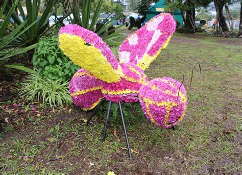 Parada De Las Flores En Chiriqu Supondr Un Impacto Econ Mico De M S