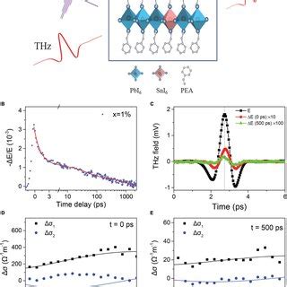 Doping Level Dependent Charge Carrier Dynamics In Sn Doped PEA 2 PbI