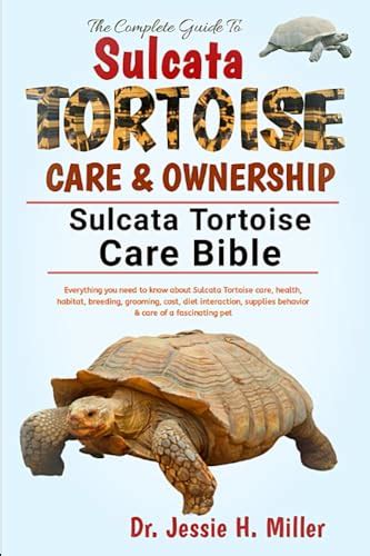 THE COMPLETE GUIDE TO SULCATA TORTOISE CARE OWNERSHIP Everything You