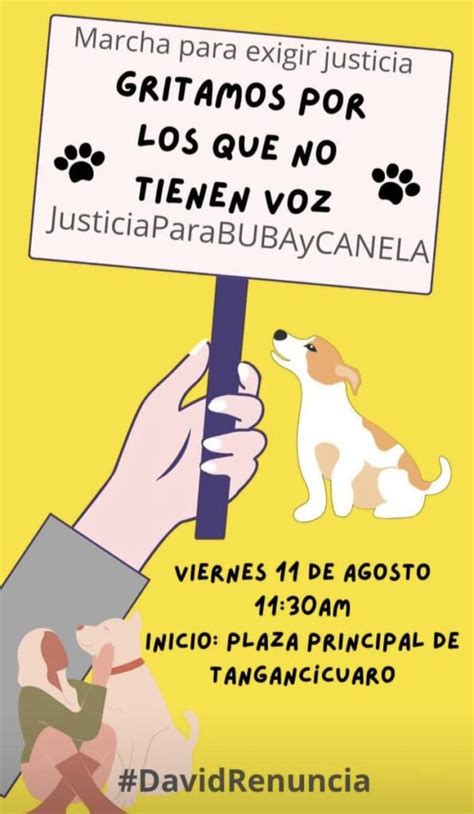 Alcalde De Tangancícuaro Es Acusado De Matar A Los Perritos Buba Y Canela A Balazos