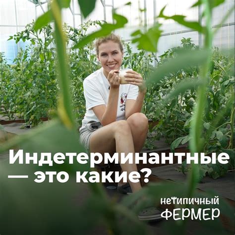 Нетипичный фермер | Агрофирма 2024 | ВКонтакте