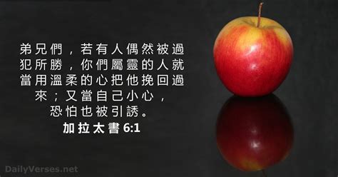 2021年8月21日 每日聖經金句 加 拉 太 書 61