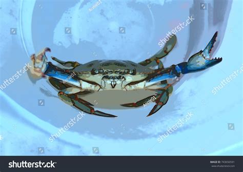 Colorful Angry Blue Crab Illustration Stock Illustration 743656591