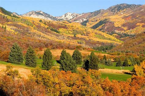 Wasatch Mountain State Park | Bean Trailer