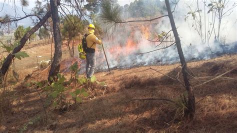 Michoac N Quinto Lugar En Incidencia De Incendios Forestales