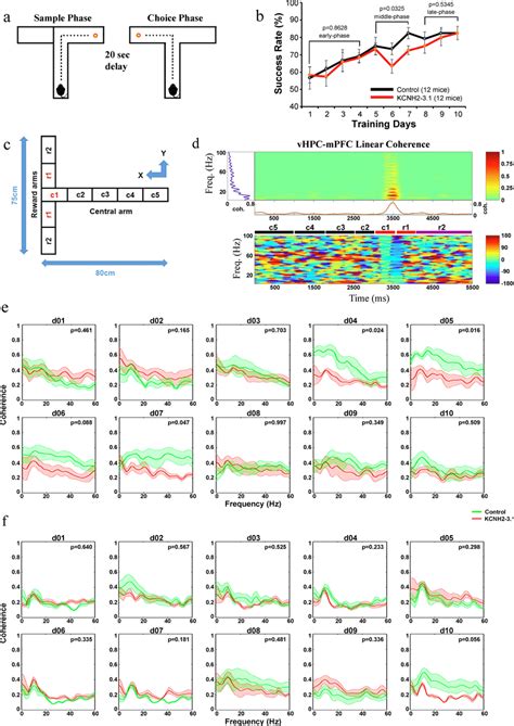 Altered T Maze Performance And Hippocampal MPFC Synchrony In The