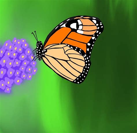 Monarch Butterfly Drawing Tutorial Easy Step By Step And New Butterfly