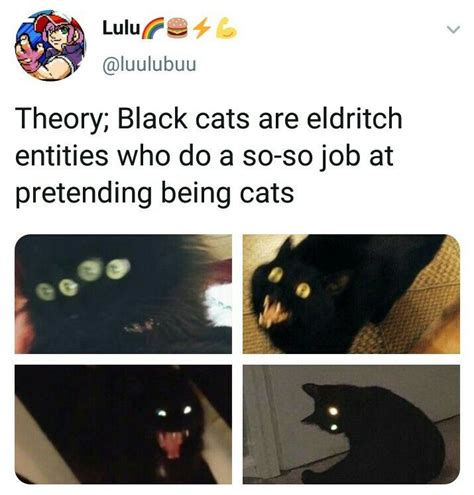 Four Different Pictures Of Black Cats With Caption That Reads Theory