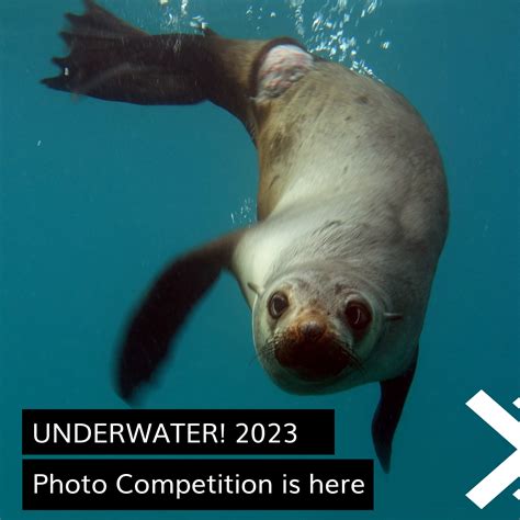 A new category will be added to the BTVA ceremony next year 16