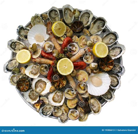 Shellfish seafood platter stock image. Image of lemon - 19386613