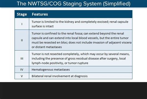 Wilms Tumor A Pediatric Oncology Success Story