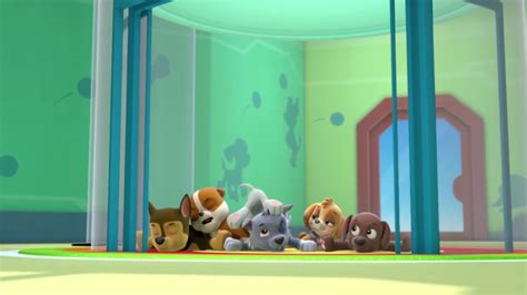 Paw Patrol Season 1 Episode 18 By Karllthorn On Deviantart