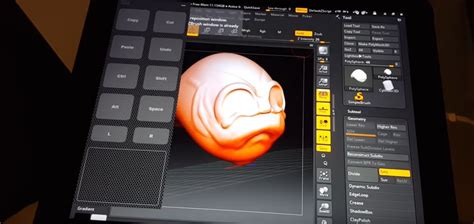 Zbrush Ipad Pro Corkmfk