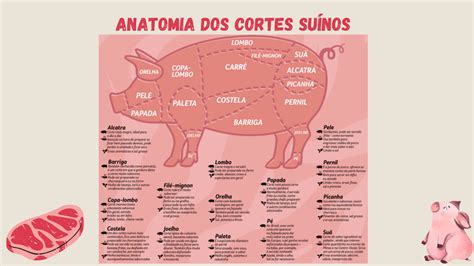 Anatomia Dos Cortes De Carne Su No Comuns No Brasil Anatomia