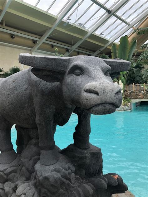 Tropical Cyclone In The Subtropical Swimming Paradise Elveden Forest