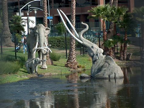 La Brea Tar Pits And Museum Los Angeles Ca California Beaches