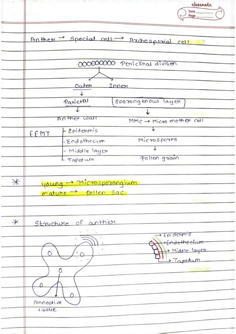 Solution Sexual Reproduction In Flowering Plants Studypool