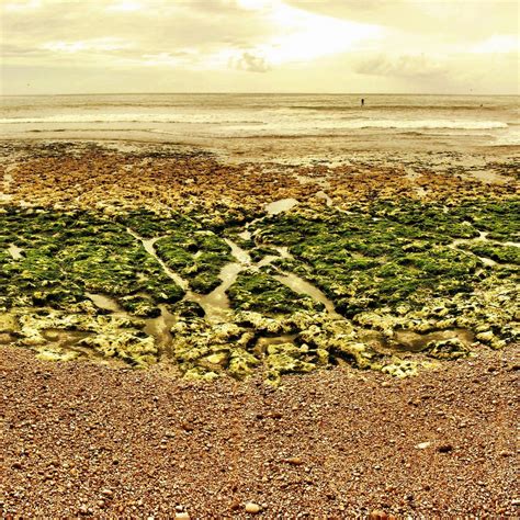 Gratis Afbeeldingen Strand Landschap Zee Kust Horizon Veld