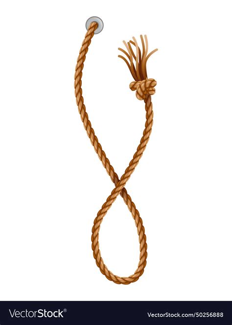 Knotted Ropes With Tassels And Holes Knot Cord Vector Image