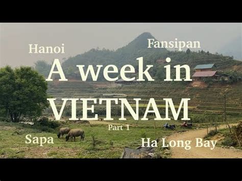 Vietnam Travel Vlog Hanoi Ha Long Bay Sapa Fansipan Cat Cat