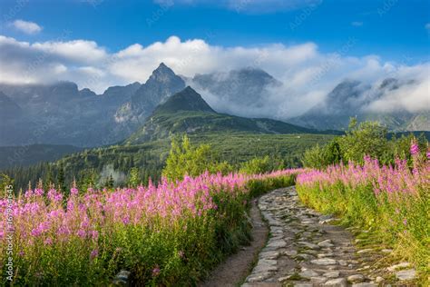 Hala Gąsienicowa Tatry Pejzaż Górski obrazy fototapety plakaty