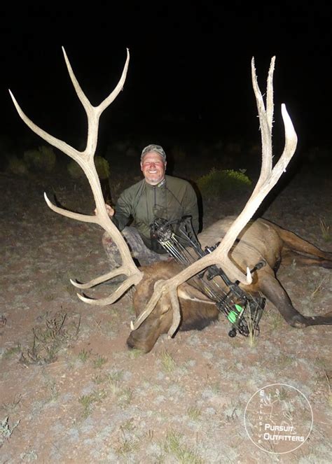 Arizona Guided Trophy Elk Hunts Exclusive Pursuit Outfitters LLC