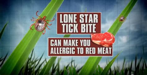 A Lone Star Tick Bite Could Make You Allergic to Red Meat