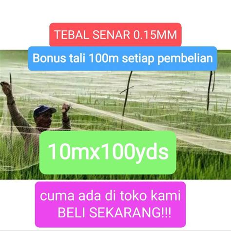 Jual Jaring Burung Sawah Mx Yds Tebal Senar Mm Jaring Burung