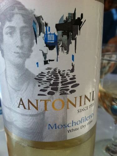 Antonini Moschofilero Vivino Us