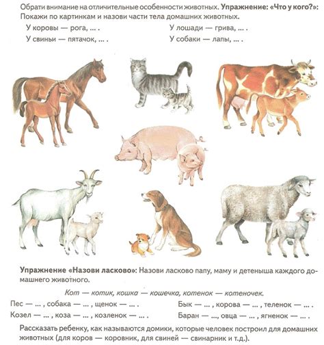 Задания для детей 4-5 лет | БебиКлад