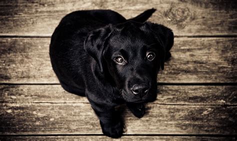 The 5 Best Free Stock Photo Sites To Download Stock Photos Stugon