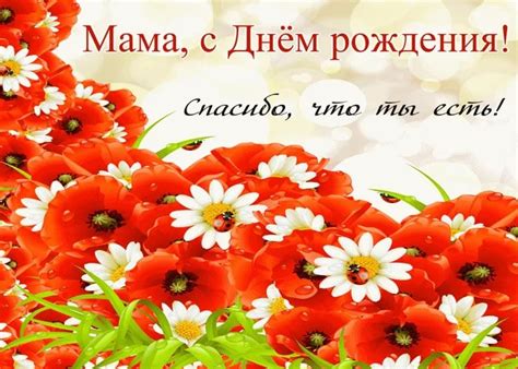 С Днем Рождения Мамочка Картинки С Надписью — Картинки фотографии