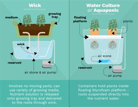 Basic Types Of Hydroponic Systems