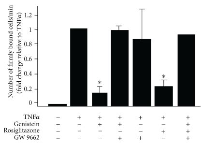 Isoflavones Inhibit Tnf Induced Monocyte Adhesion To The Vascular Wall