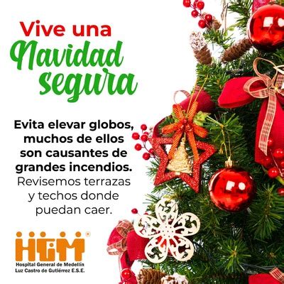 Vive Una Navidad Segura