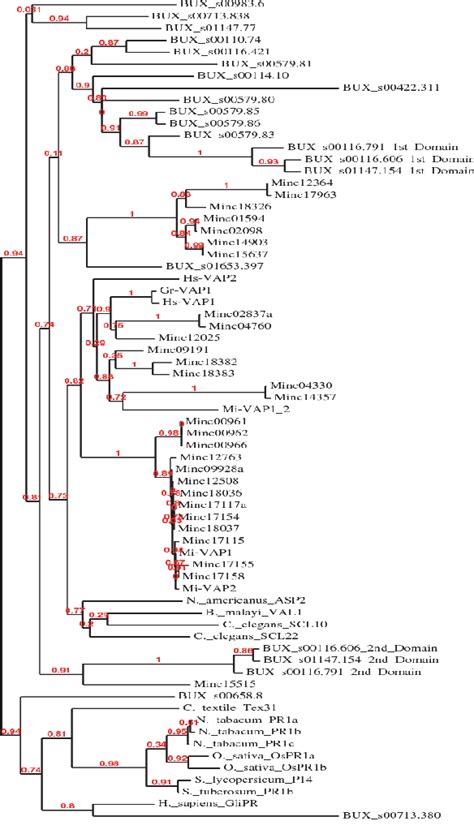 Figure 1 From Venom Allergen Like Proteins In Secretions Of Plant