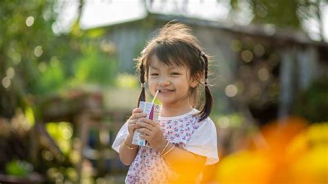 Kumpulan Berita Dampak Minuman Manis Untuk Anak Terbaru Dan Terkini