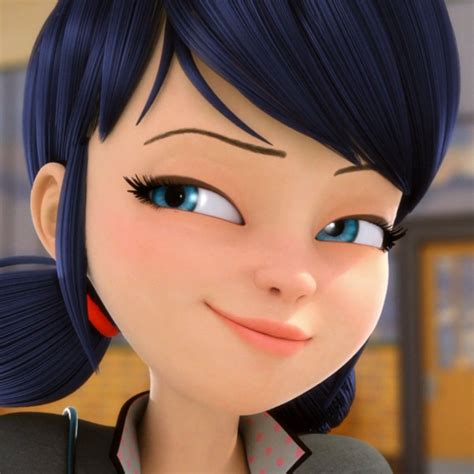 Marinette Dupain Cheng Miraculous Ladybug Lady Bug Icon Cats Anime