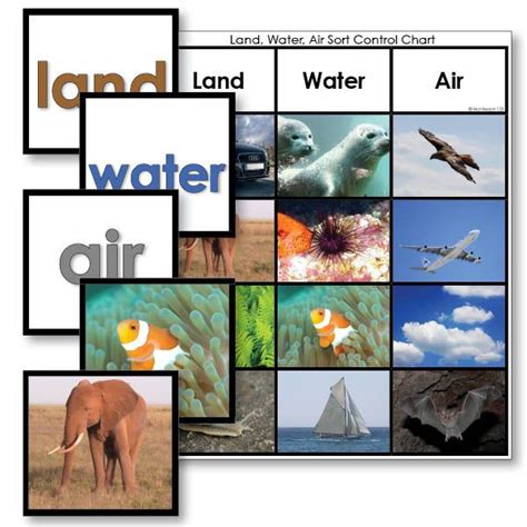 Land Water Or Air Sorting Cards Montessori Geography Montessori