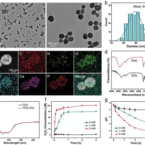 Pdf Nanocatalytic Theranostics With Glutathione Depletion And