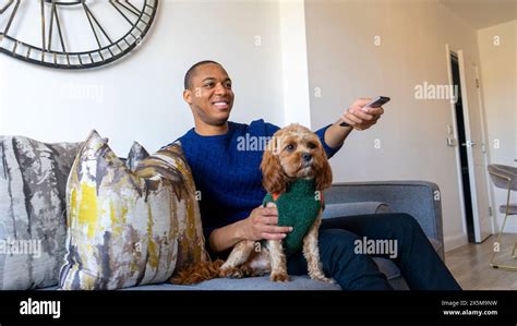 Man with dog sitting on sofa watching tv Stock Photo - Alamy