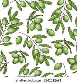 Olive Branch Seamless Pattern Hand Drawn Stock Vector Royalty Free