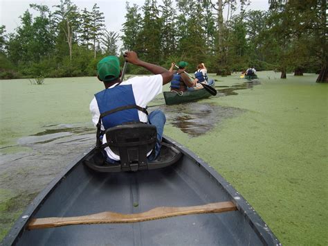 cache river permit 2024 1