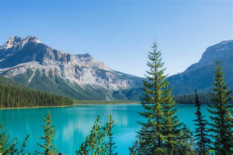 Emerald Lake and Emerald Basin Hike, Yoho National Park | Track & Tower