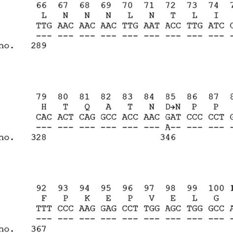 Alignment Of Partial Exon And Exon Nucleotide And Amino Acid